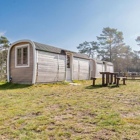 Naturcamping Lueneburger Heide - Chalets & Tiny Haeuser Soltau Dış mekan fotoğraf