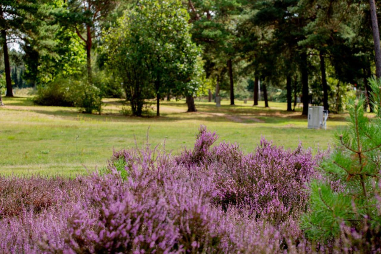 Naturcamping Lueneburger Heide - Chalets & Tiny Haeuser Soltau Dış mekan fotoğraf