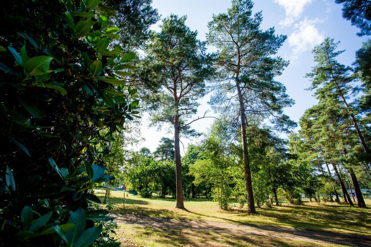 Naturcamping Lueneburger Heide - Chalets & Tiny Haeuser Soltau Dış mekan fotoğraf
