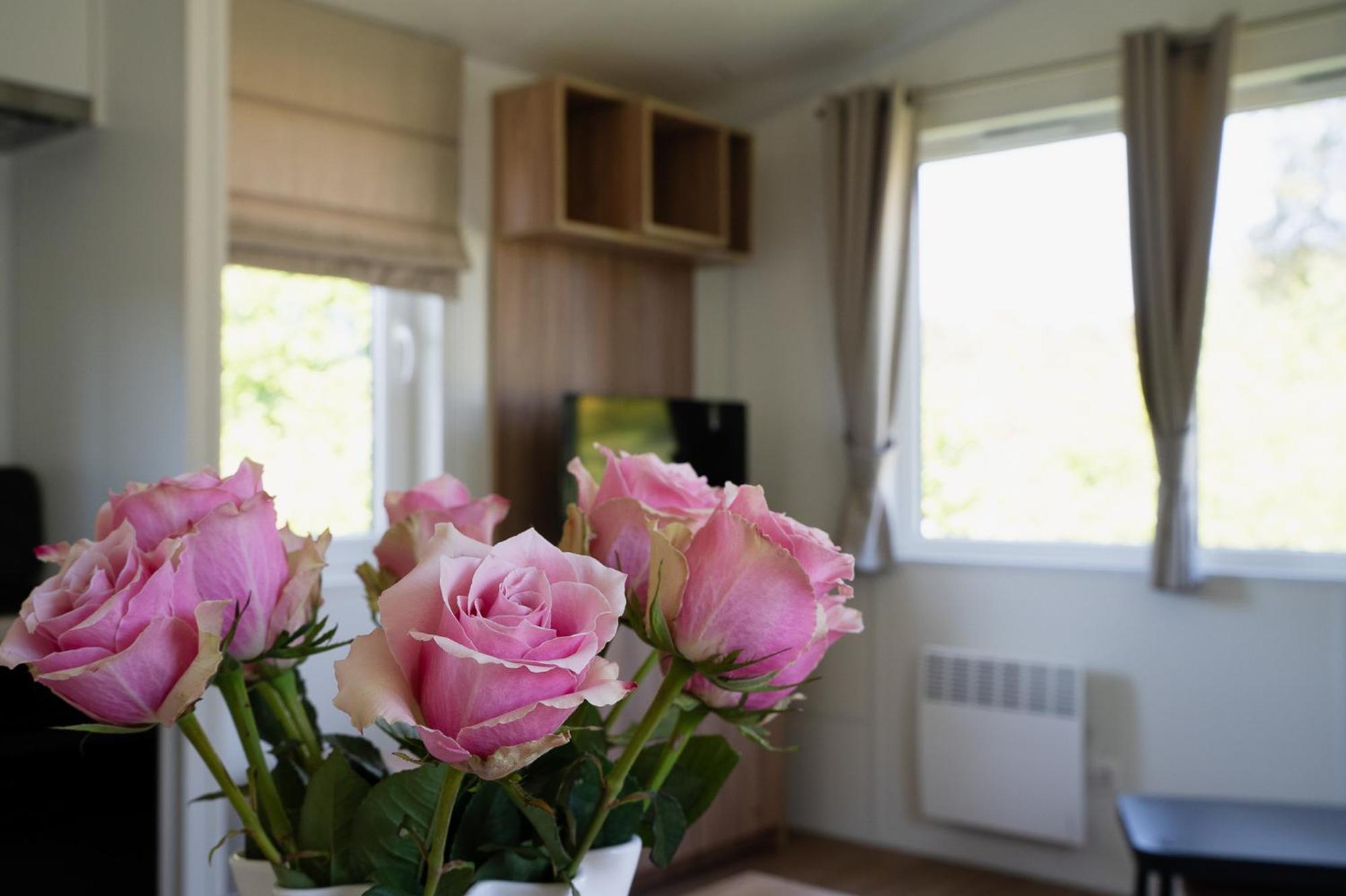 Naturcamping Lueneburger Heide - Chalets & Tiny Haeuser Soltau Dış mekan fotoğraf